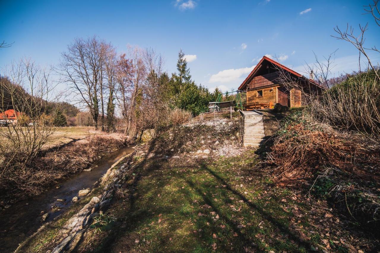 Wooden Cabin Zurej With Hot Tub Bukovje v Babni Gori Exteriör bild